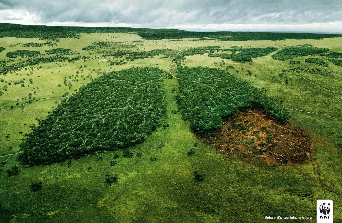 WWF Green Lungs
