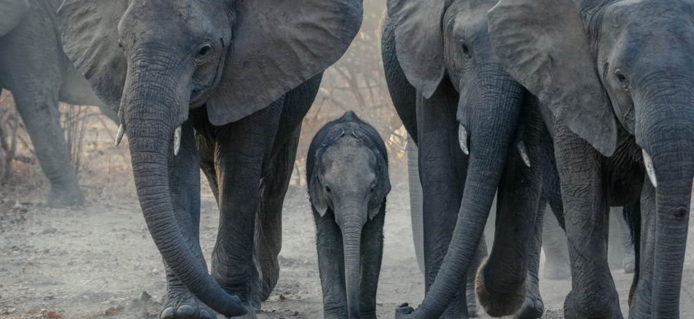 The Future of Nudging