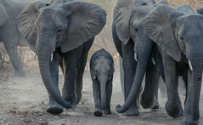 The Future of Nudging