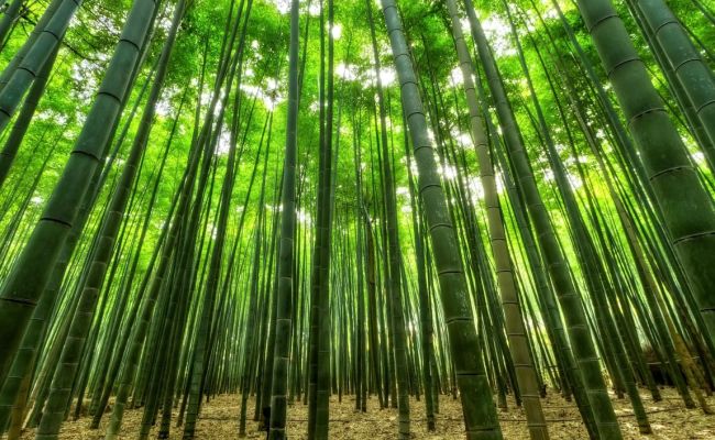 Building Resilience and Its Effect on Performance